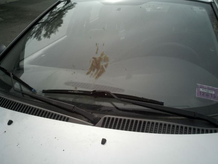 Оставил машину у школы... (7 фото)