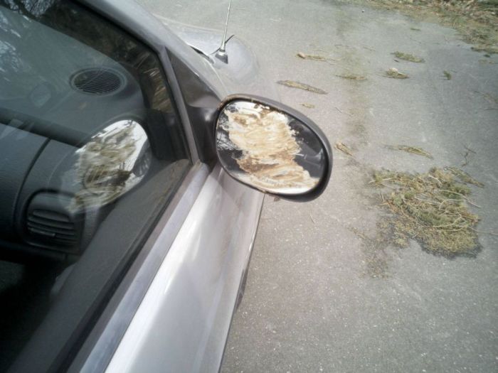 Оставил машину у школы... (7 фото)