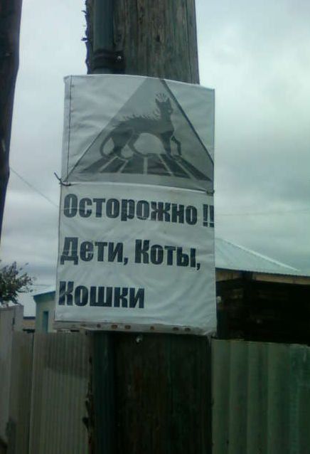 Объявления и реклама (36 фото)