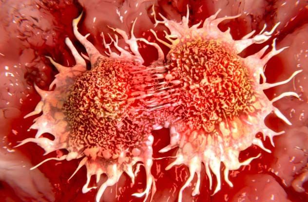 Необъяснимые парадоксы (7 фото) Необъяснимые парадоксы (7 фото)