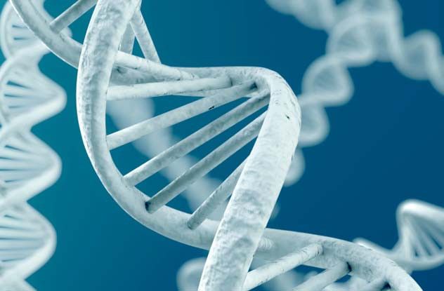 Необъяснимые парадоксы (7 фото) Необъяснимые парадоксы (7 фото)