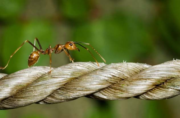 Необъяснимые парадоксы (7 фото) Необъяснимые парадоксы (7 фото)