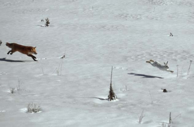 Необъяснимые парадоксы (7 фото) Необъяснимые парадоксы (7 фото)