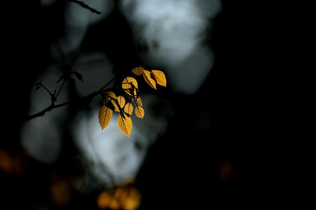 Лучшие фотографии марта 2017 года от National Geographic