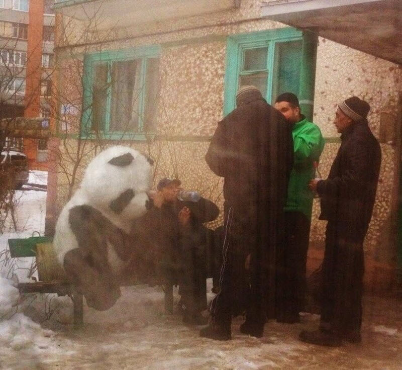 Удивительные снимки с российских просторов