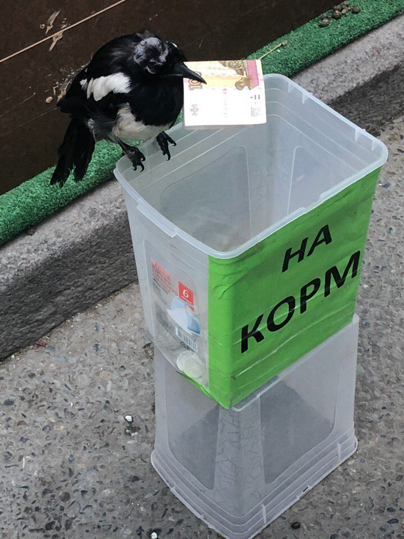 Удивительные снимки с российских просторов