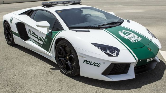 Lamborghini для патрулирования Дубая (5 фото)