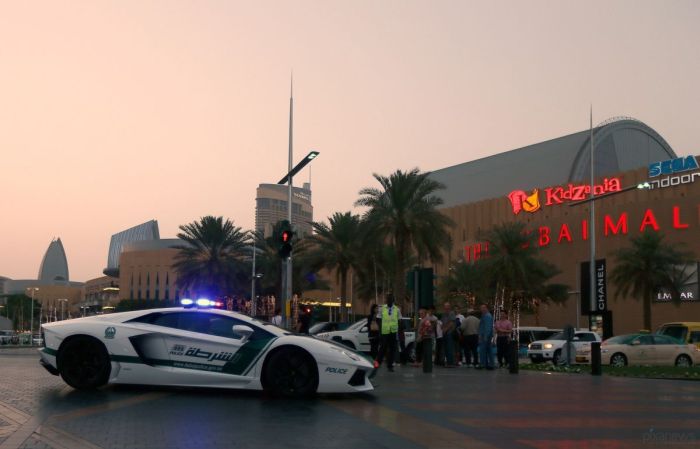 Lamborghini для патрулирования Дубая (5 фото)