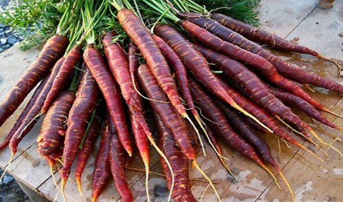 Шокирующие факты о еде (25 фото)