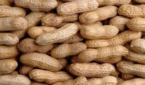 Шокирующие факты о еде (25 фото)