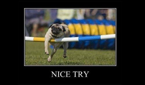 Шокирующие факты о еде (25 фото)