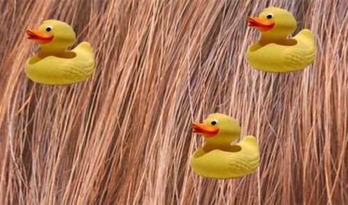 Шокирующие факты о еде (25 фото)