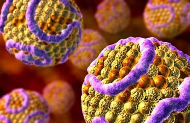 25 фактов, которые нужно знать о холестерине