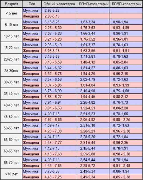 25 фактов, которые нужно знать о холестерине