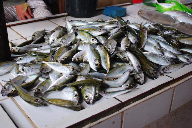 Самые необычные заболевания, с которыми просто невыносимо жить Самые необычные заболевания, с которыми просто невыносимо жить