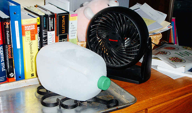 7 способов пережить самую дикую жару