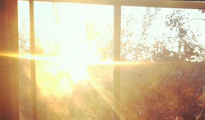 7 способов пережить самую дикую жару