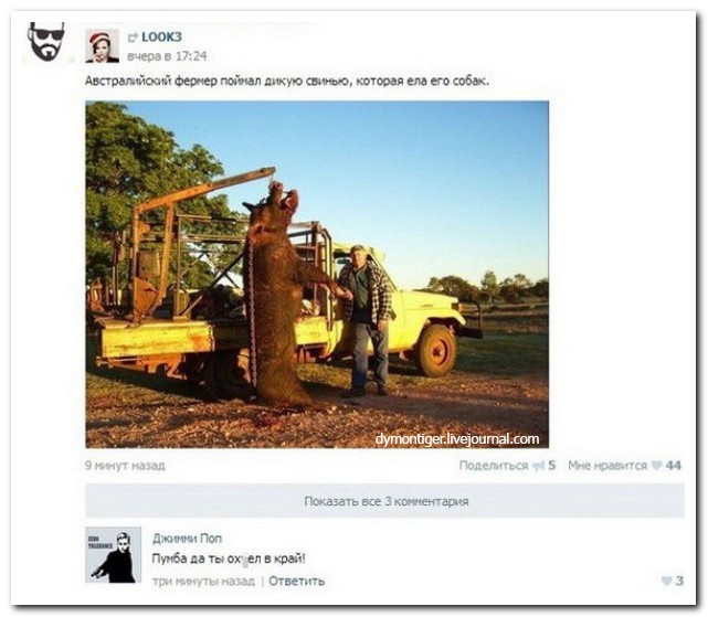 Смешные комментарии из социальных сетей