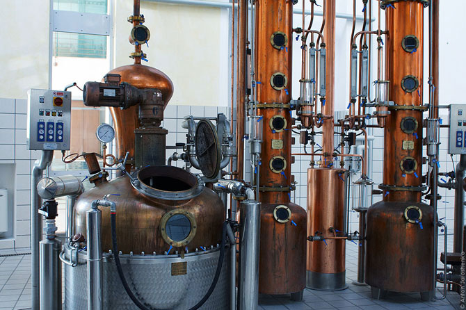 Как делают итальянскую граппу (22 фото)