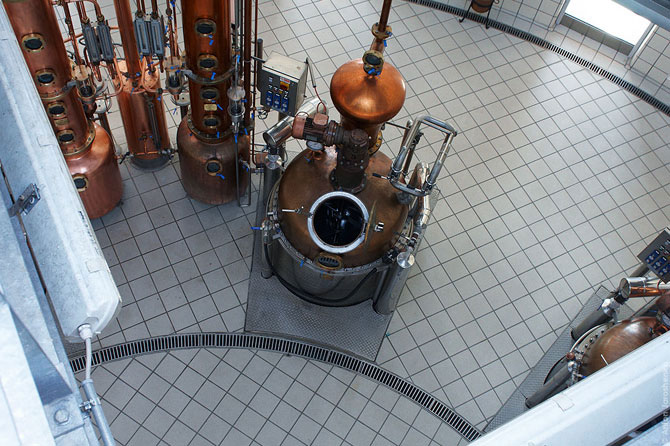 Как делают итальянскую граппу (22 фото)