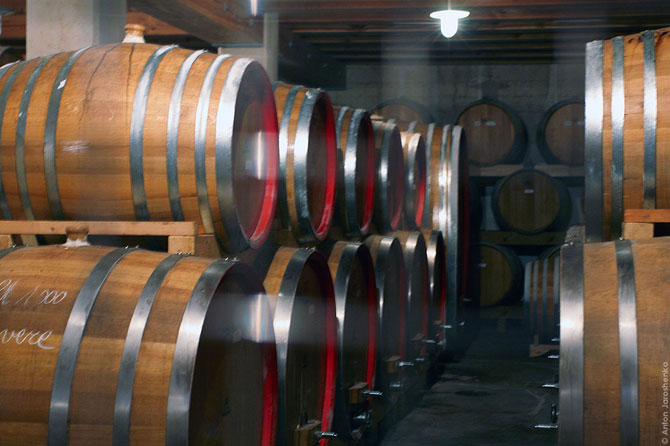 Как делают итальянскую граппу (22 фото)