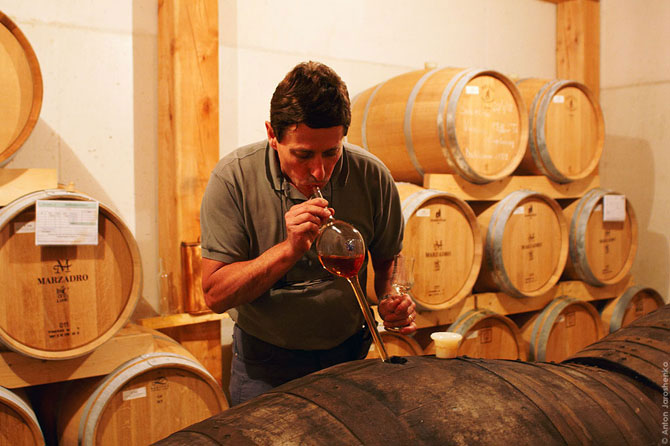 Как делают итальянскую граппу (22 фото)