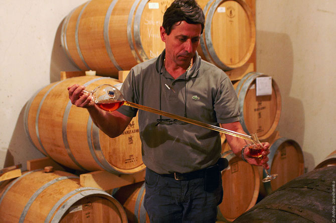 Как делают итальянскую граппу (22 фото)