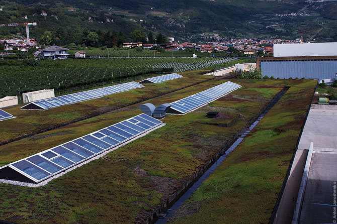 Как делают итальянскую граппу (22 фото)