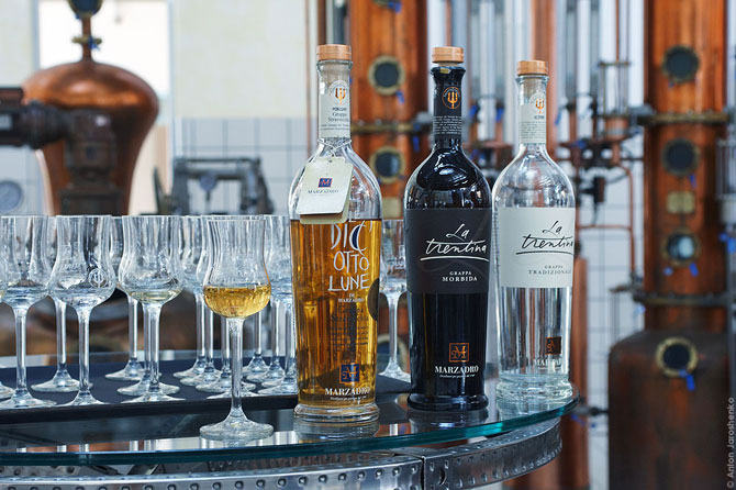 Как делают итальянскую граппу (22 фото)