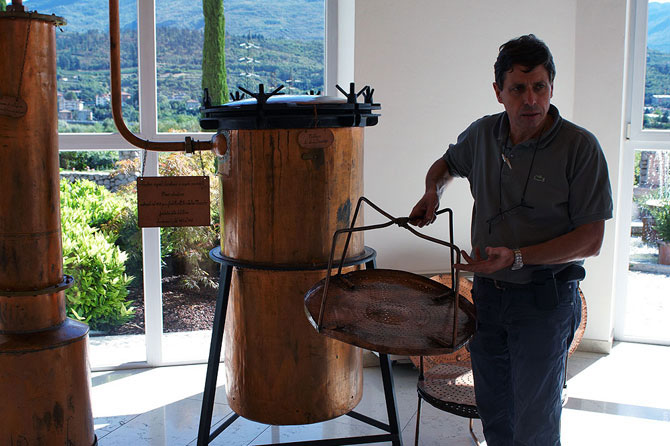 Как делают итальянскую граппу (22 фото)