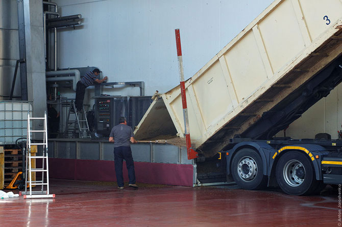 Как делают итальянскую граппу (22 фото)