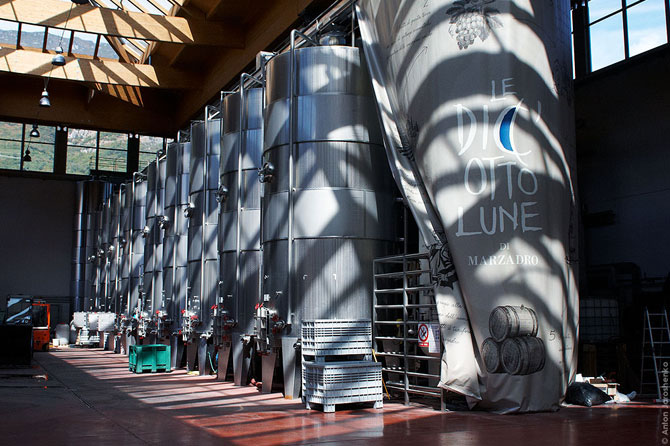 Как делают итальянскую граппу (22 фото)