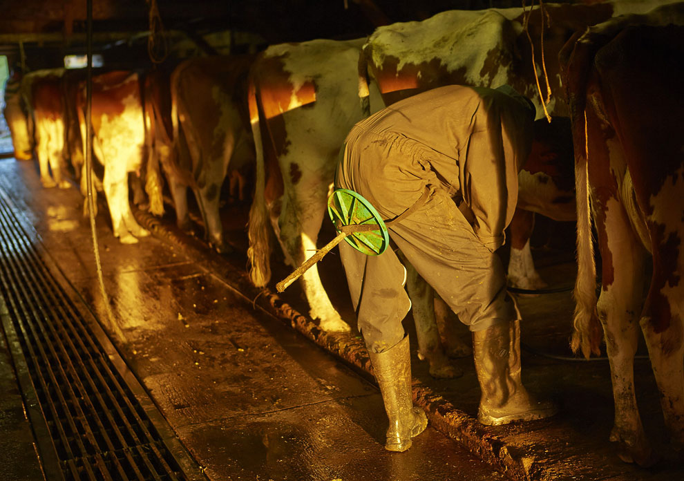 Швейцарские сыроделы