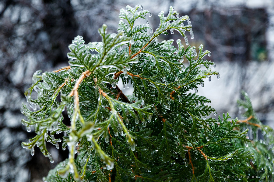 Ледяной дождь в Чебоксарах