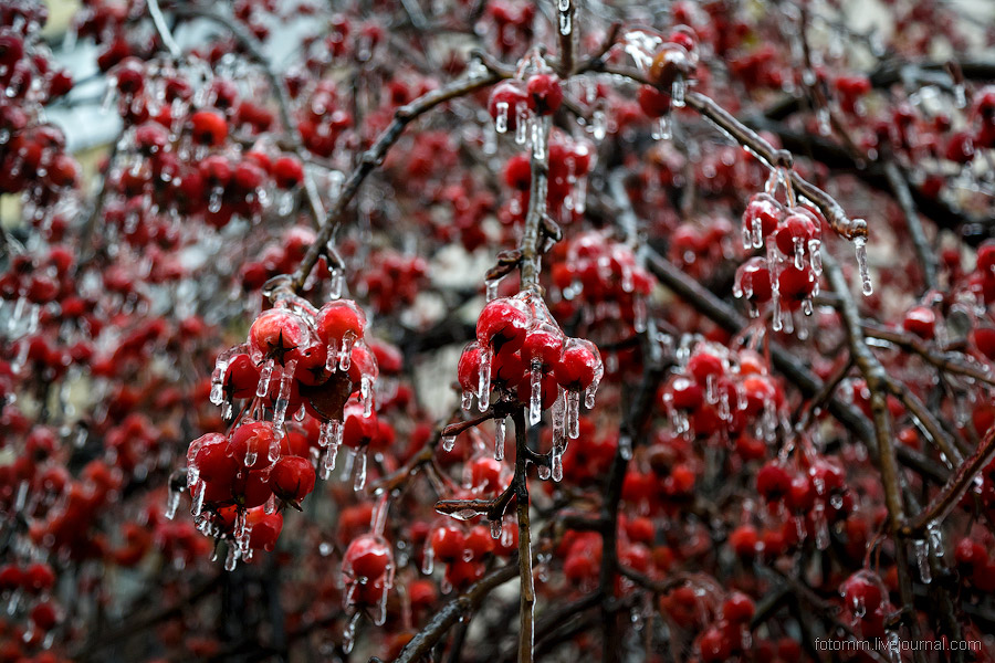 Ледяной дождь в Чебоксарах