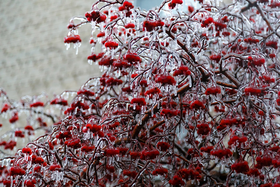 Ледяной дождь в Чебоксарах