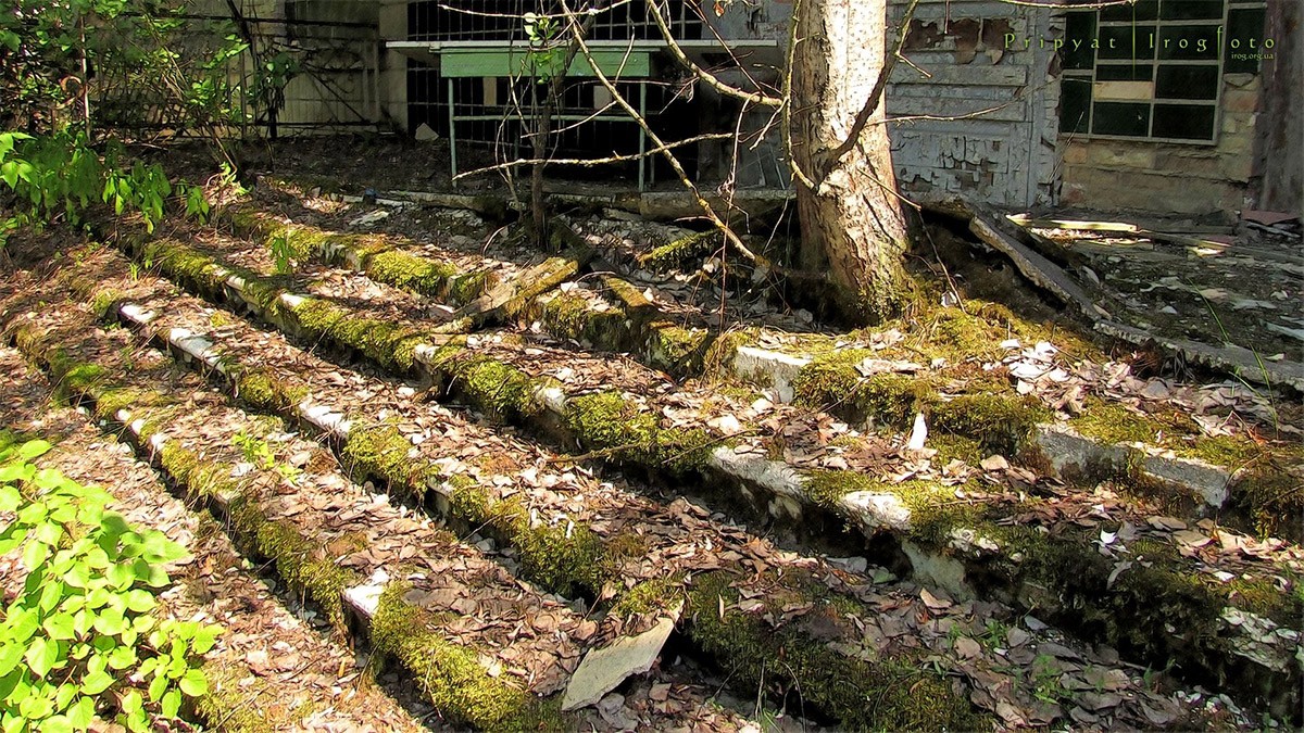 Оживающий Чернобыль Оживающий Чернобыль