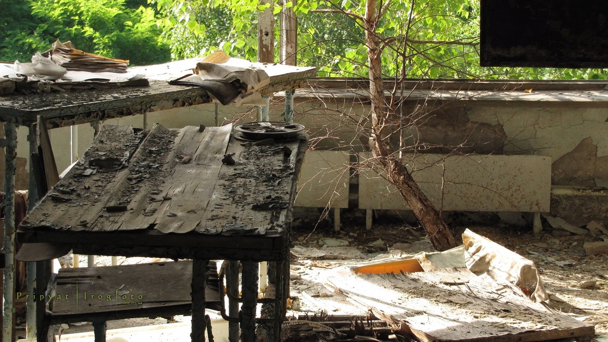 Оживающий Чернобыль Оживающий Чернобыль