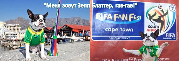 Как маленькая авиакомпания издевалась над Зеппом Блаттером