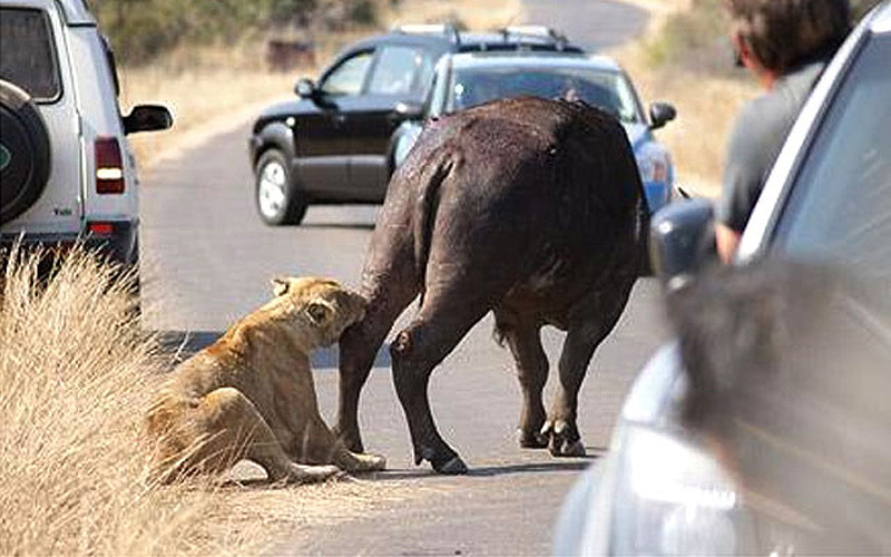 Опасные туристические направления