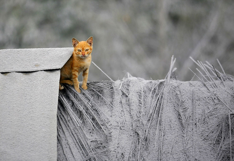 Извержение вулкана Синабунг на Суматре Извержение вулкана Синабунг на Суматре