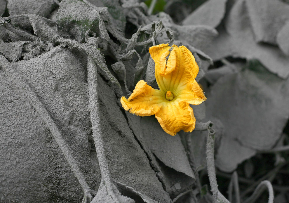 Извержение вулкана Синабунг на Суматре Извержение вулкана Синабунг на Суматре