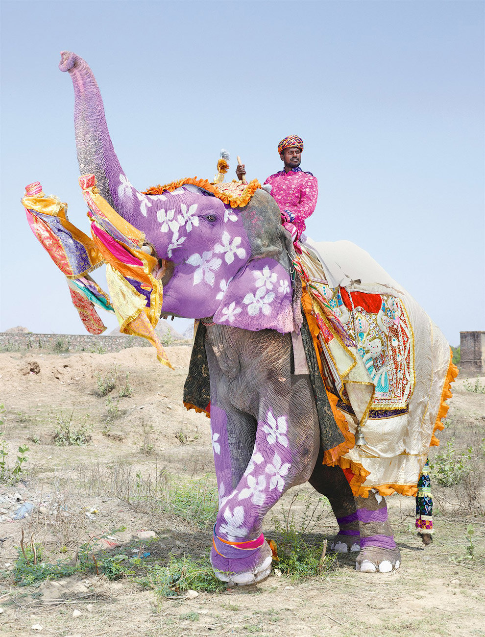 Фестиваль слонов в Джайпуре