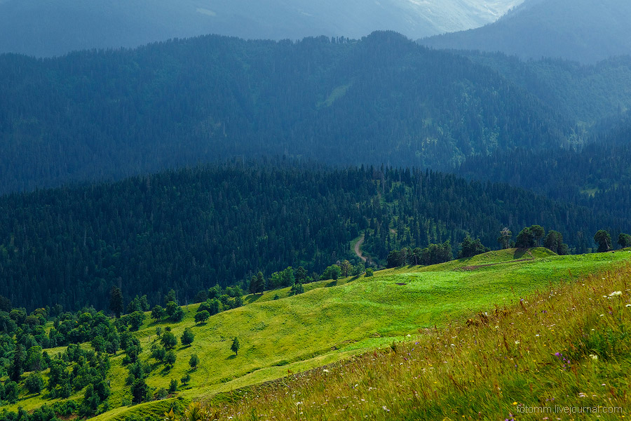 На изумрудных склонах Кавказа