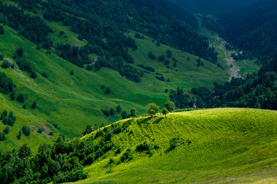 На изумрудных склонах Кавказа