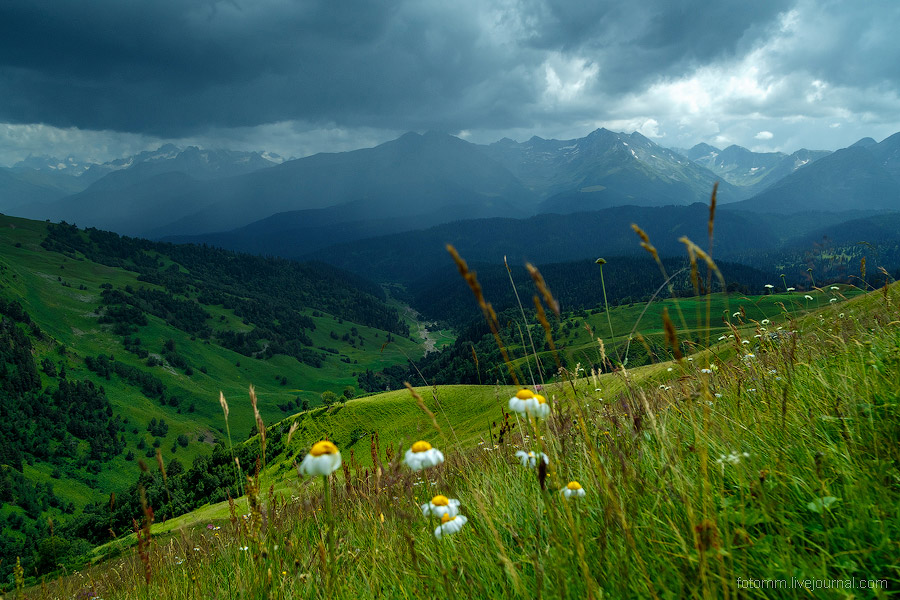 На изумрудных склонах Кавказа