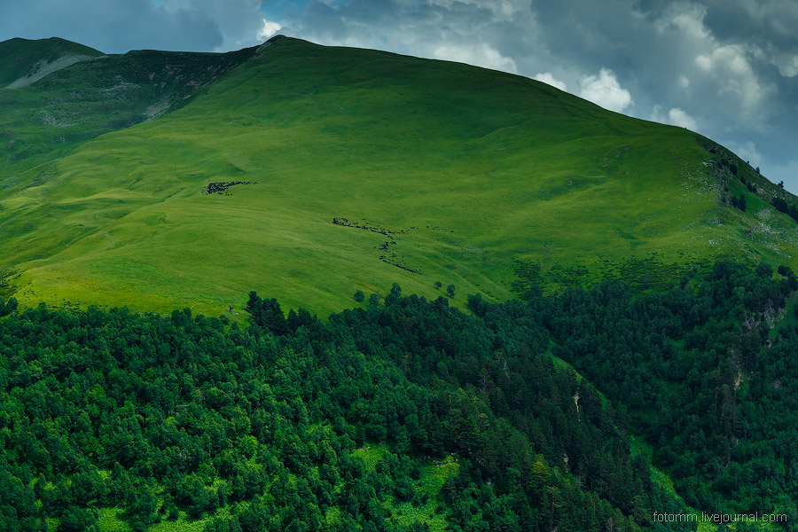 На изумрудных склонах Кавказа