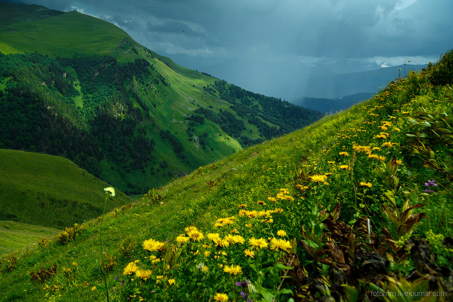 На изумрудных склонах Кавказа