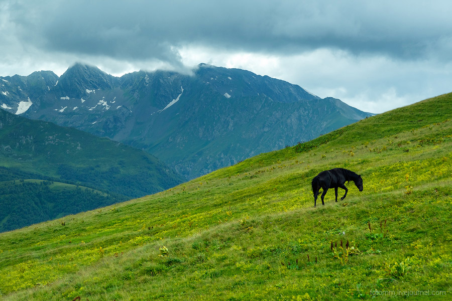 На изумрудных склонах Кавказа