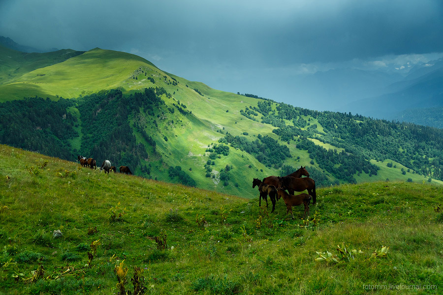 На изумрудных склонах Кавказа